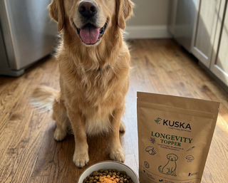 kuska_pets