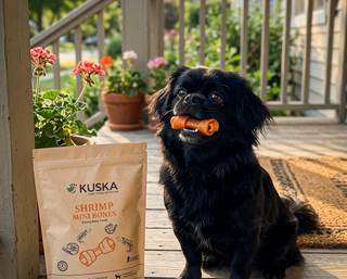 kuska_pets