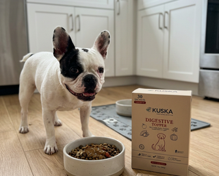 kuska_pets